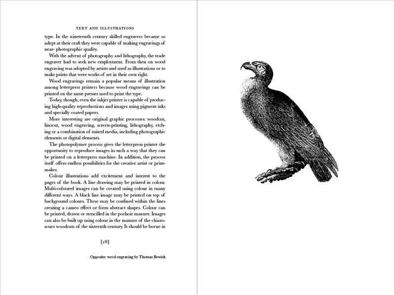 Generic placeholder thumbnail